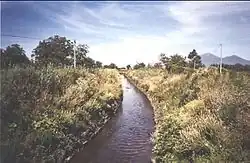 Photo d'une rivière traversant un milieu végétal avec des montagnes en arrière-plan