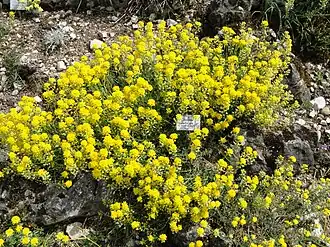 Description de cette image, également commentée ci-après