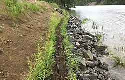 Photographie couleur montrant une rivière bordée par des rochers, des talus de terre et des plantations.