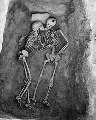 Image illustrative de l’article Amoureux de Hasanlu