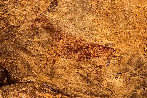 Peinture rupestre d'un bovidé