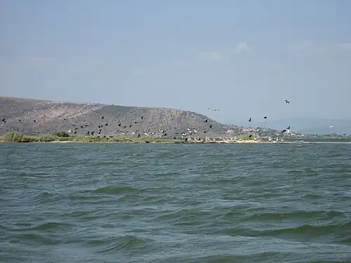 Le golfe Ambracique.