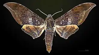 Description de cette image, également commentée ci-après