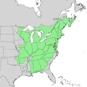 Description de l'image Amelanchier_arborea_range_map_1.png.
