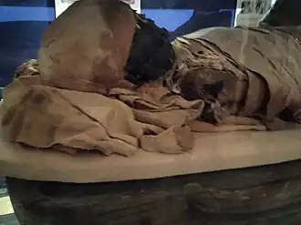 Image illustrative de l’article Setjaimengaou