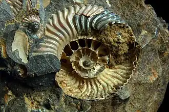 Description de cette image, également commentée ci-après