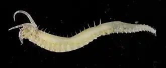 Description de cette image, également commentée ci-après