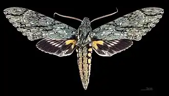 Description de cette image, également commentée ci-après