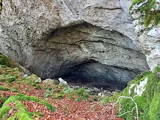 Image illustrative de l’article Grotte d'Amutxate