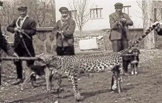 Description de cette image, également commentée ci-après