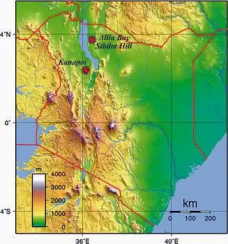 Image illustrative de l’article Kanapoi