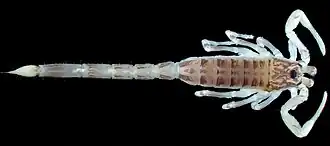 Description de cette image, également commentée ci-après