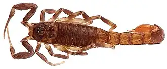 Description de cette image, également commentée ci-après