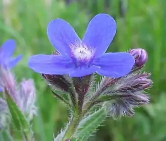 Description de cette image, également commentée ci-après