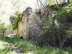 Ruines de l'ancien moulin à farine.