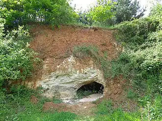 Image illustrative de l’article Calcaire du Quiou