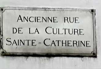 Culture Sainte-Catherine
