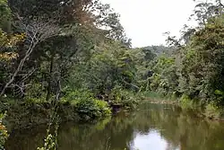 Parc national d'Andasibe (Madagascar)
