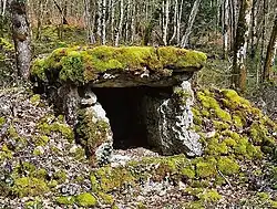 Dolmen de la nécropole de Fort Bévaux.
