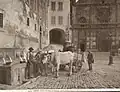 Charette attelée de boeufs devant une fontaine sur la place de la basilique Saint-François d'Assise.