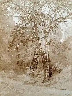 Bouleaux (1911), Strasbourg, Bibliothèque nationale et universitaire.