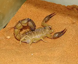 Description de cette image, également commentée ci-après