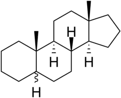 Image illustrative de l’article Androstane