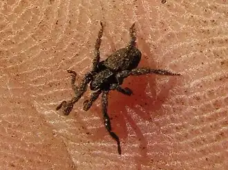 Description de cette image, également commentée ci-après