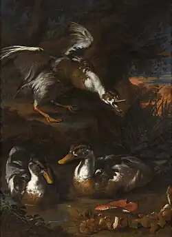 Canards dans un paysage boisé et champignons (XVIIe siècle), Angelo Maria Rossi