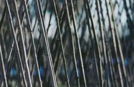 210&nbsp;mm :longue focale, image de grande taille.