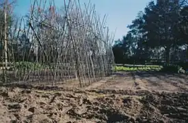 28&nbsp;mm :courte focale, image de petite taille.