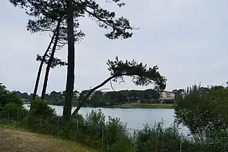 Image illustrative de l’article Lac de Chiberta