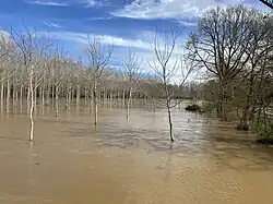 Image illustrative de l’article Crues de l'Anglin