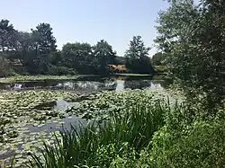 La rivière Anglin en 2019.