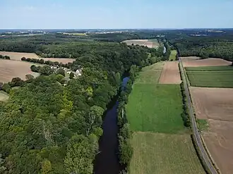 Image illustrative de l’article Anglin