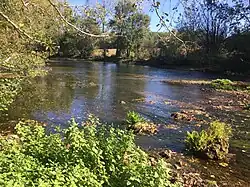 Saint-Pierre-de-Maillé