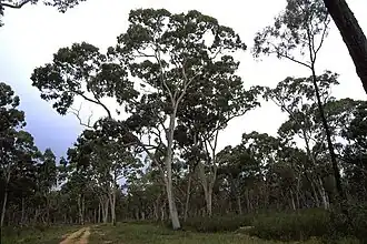 Description de cette image, également commentée ci-après