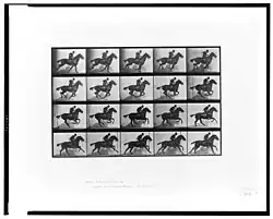 Tableau 4x5 de photographies en noir et blanc. Chaque cliché montre une position différente d'un cheval monté en train de courir.