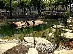 Hippopotame des animaux de la place Napoléon à La Roche-sur-Yon