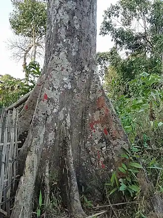 Description de cette image, également commentée ci-après