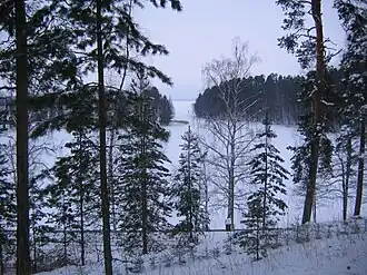 Baie Anitsanlahti du lac Simpele.