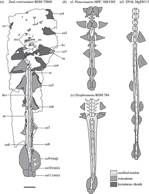 voir la légende ci-après