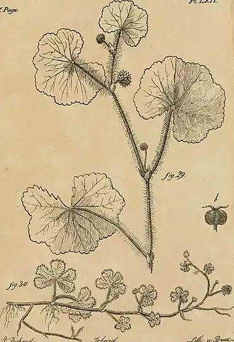 Description de l'image Annales gnrales des sciences physiques (1819-1821) (18221764458).jpg.
