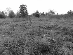 Le puits dans son environnement.