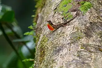 Description de cette image, également commentée ci-après