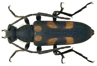 Description de cette image, également commentée ci-après