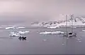 La baie de l’Espérance, à l'extrémité septentrionale de la terre de Graham, devant la base antarctique Esperanza.