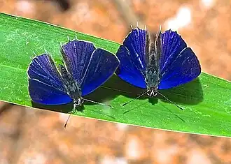 Description de cette image, également commentée ci-après