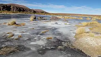 Rivière près du volcan Antofagasta, province de Catamarca, en 2016