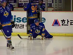 Description de l'image Anyanghallaplayerleekwonjae.jpg.